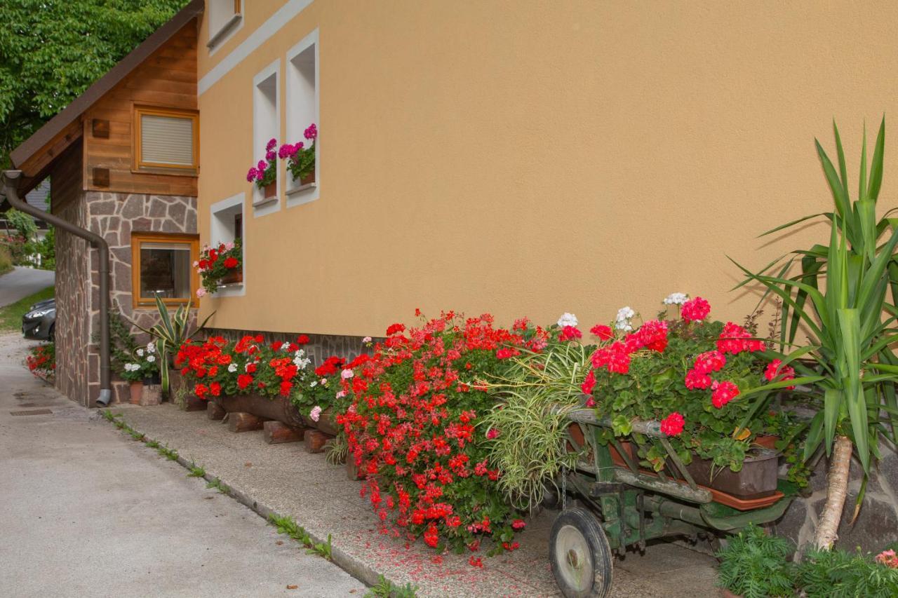 Apartma Erlah Daire Bohinj Dış mekan fotoğraf